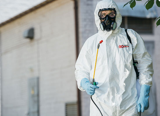 Birmingham pest control fumigator